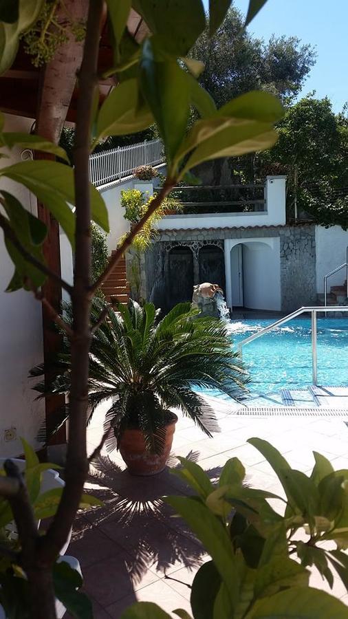 Hotel Terme Fiola 3*